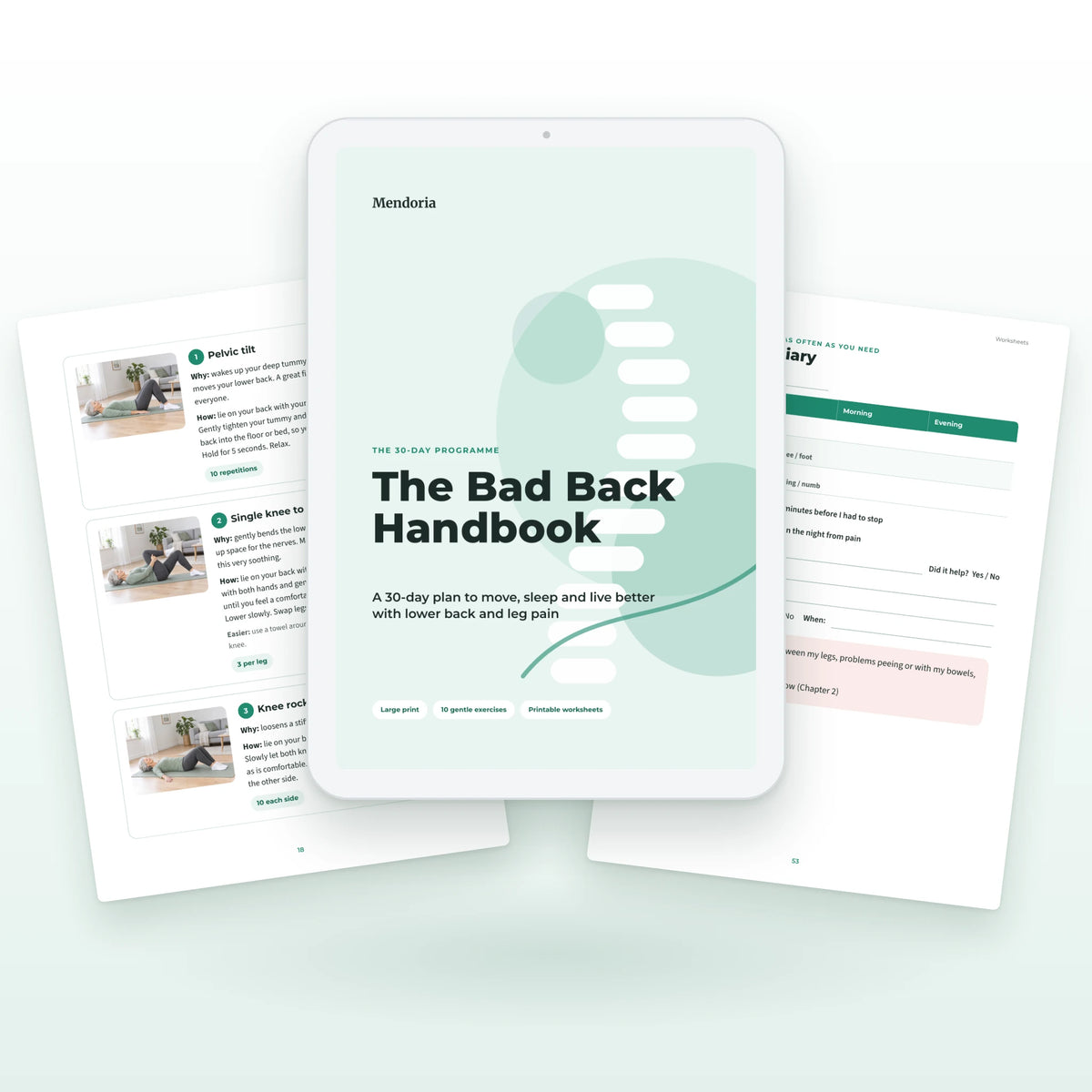 eBook: The Bad Back Handbook